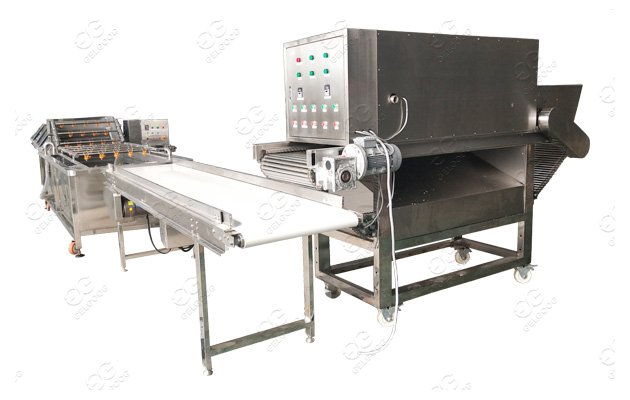 belt type peeling machine
