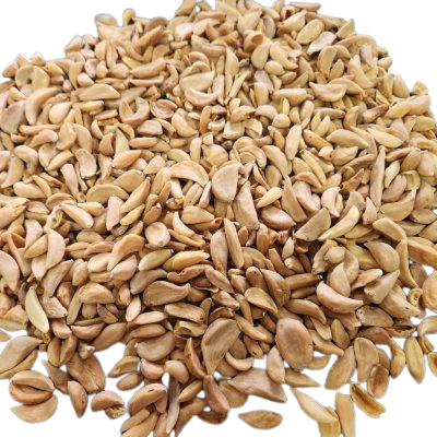 garlic flakes removebg preview