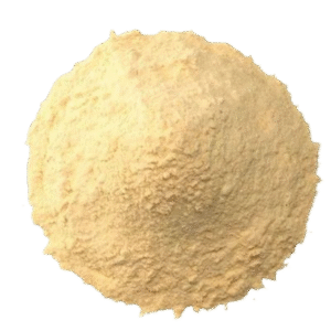 garlic powder