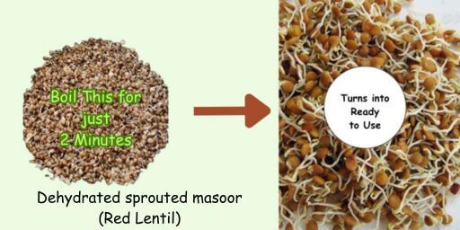 dehydrated sprouted masoor (red lentil) 1